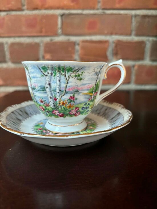 Royal Albert Other - Vintage Royal Albert  "Silver Birch" Teacup & Saucer